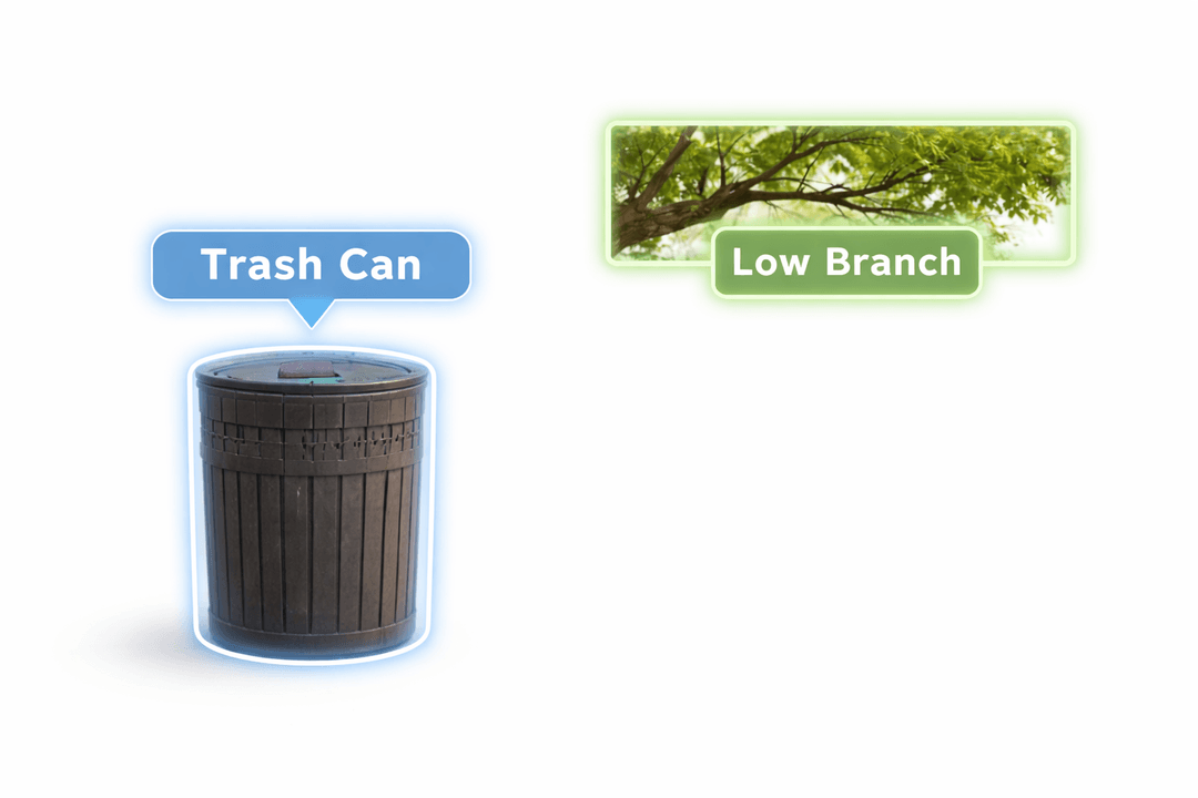 Scene recognition visual